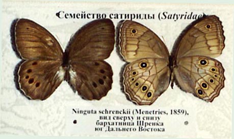 ��������, ��� ����������, ������� ����