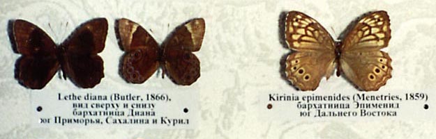 ��������, ��� ����������, ������� ����