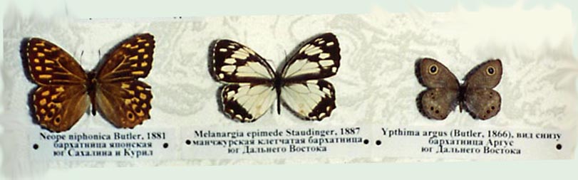 ��������, ��� ����������, ������� ����