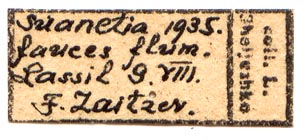 Callimorpha dominula swanetica, female labels, color image