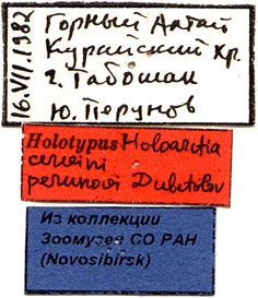 Holoarctia puengeleri perunovi holotype labels, color image
