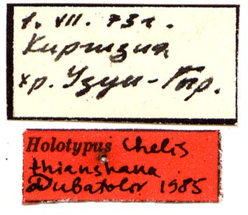 Chelis thianshana holotype labels