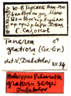 holotype labels by Dubatolov, color image