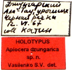 Holotype labels, color images