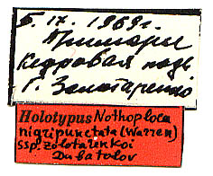 Nothoploca nigripunctata zolotarenkoi holotype labels, color image