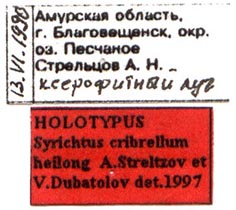 Syrichtus cribrellum heilong holotype labels, color image