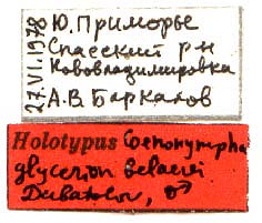 Coenonympha glycerion beljaevi holotype labels, color image