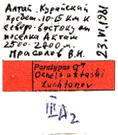 Oeneis aktashi paratype labels, color image