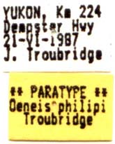 Oeneis philipi paratype labels, color image