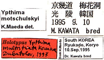 Ypthima multistriata koreana holotype labels, color image
