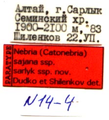 Paratype labels, color image