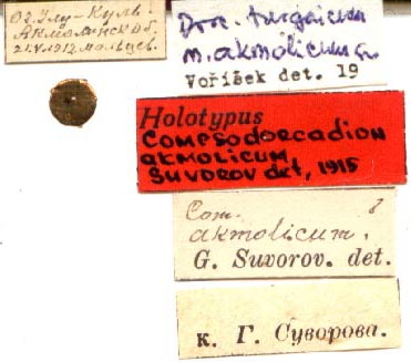 holotype label, color image