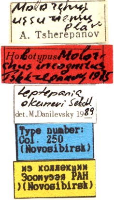 Lectotype labels, color image