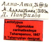 Lectotype label, color image