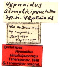 Lectotype labels, color image