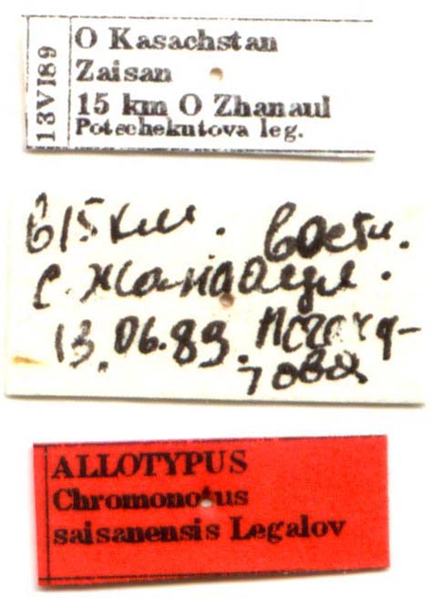 Allotype labels, color image