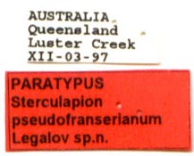 Paratype labels, color image