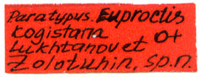 Euproctis kogistana paratype label