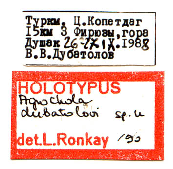 Agrochola dubatolovi holotype labels