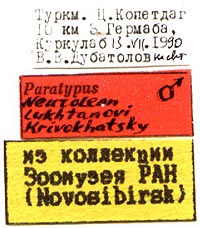 Paratype labeles, color image