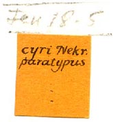 Armenia cyri paratype labels, color image