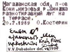 Erebia kosterini, male paratype labels, color image