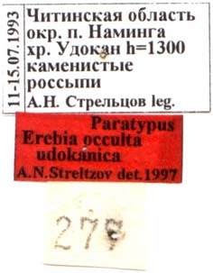 Erebia occulta udokanica paratype labels, color image