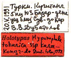 Hyponephele toharica karakongrada holotype labels, color image