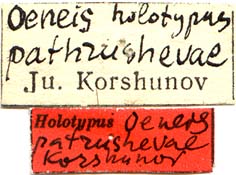 Holotype labels, color image
